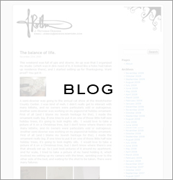 blog